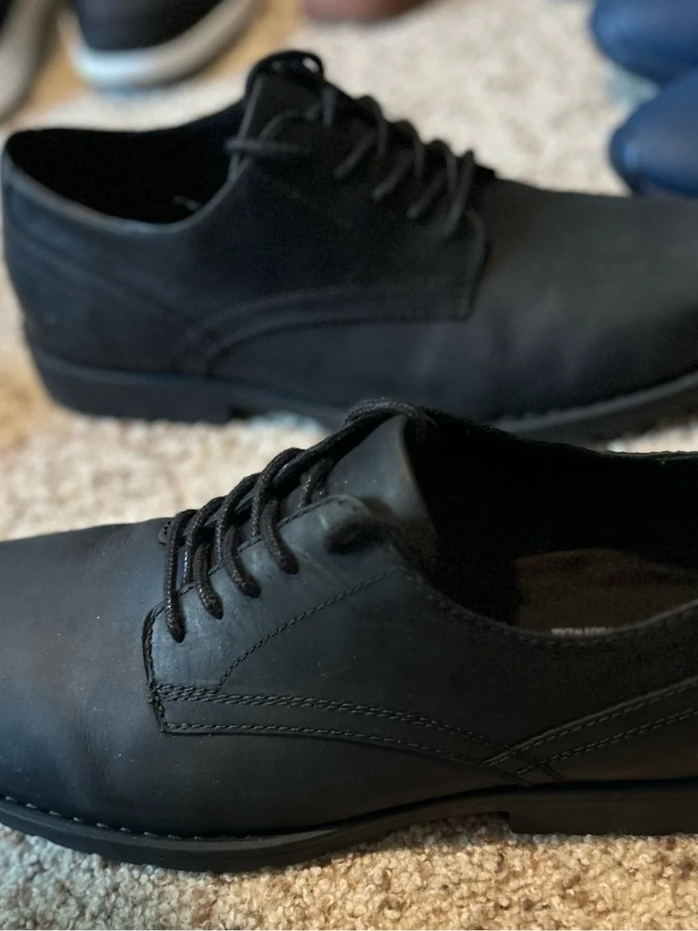 Born Black Leather Briggs Derby Oxford Shoes with Lace-Up Closure Sz13 NEW